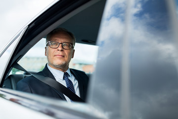 senior businessman driving on car back seat