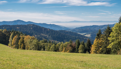 Black Forest Panorama