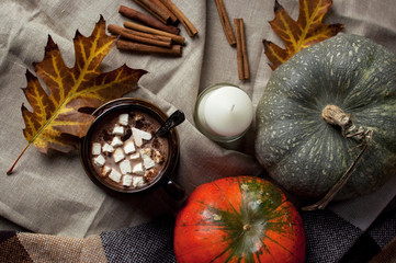 Горячее какао с маршмэллоу, корицей и тыквой