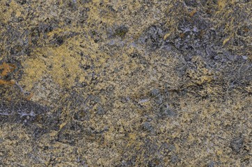 old spotty stained concrete wall texture background. color yellow, gray