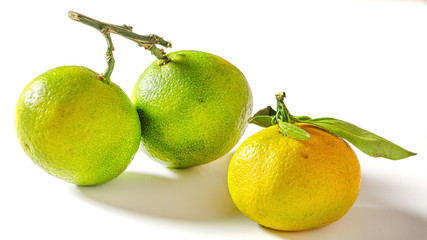 Mandarin fruit isolated on white 