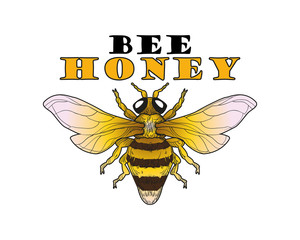 Bee an Honey. logo and lables. Vector illustration.