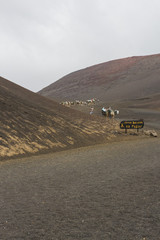 volcano stone on timanfaya, lanzarote