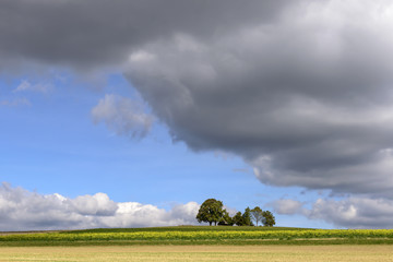 thick clouds on fall fields, Germany