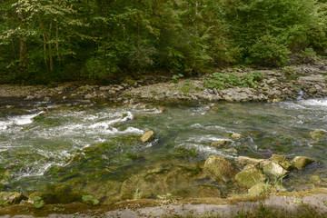 Naklejka na ściany i meble water whirlpools of Wutach river among trees, Germany