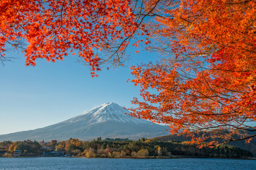 Mount Fuji with beautiful color red maple ( Momiji) at lake Kawaguchiko, Japan.