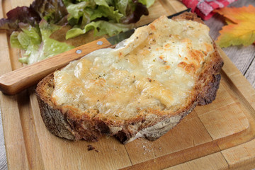 tartine au fromage 02112016