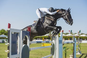 Keuken foto achterwand Paardrijden Horse and rider jumping in equestrian competition