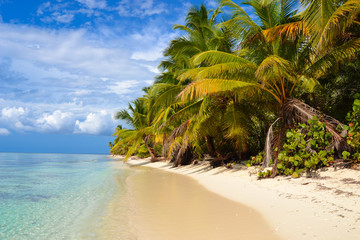 Obraz premium Beach paradise