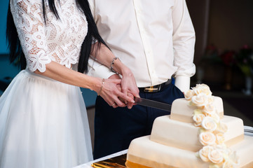 the bride and groom cut the wedding cake