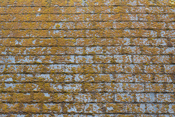 Shingle roof with molds and algaes on the surface.