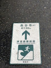 Naklejka premium Tsunami warning sign