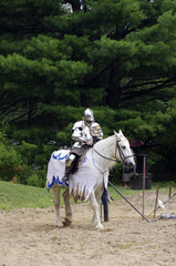 Knight in shining amour on white horse