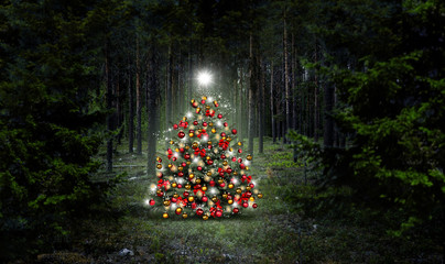Christbaum im Wald