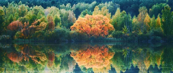 Deurstickers Herfst Herfstlandschap met reflectie van bomen in het water