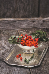 rowanberry on wooden background