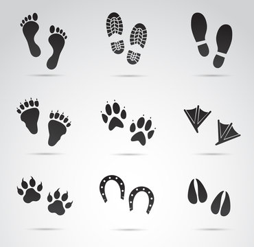 Human and animal footprints vector icon set.