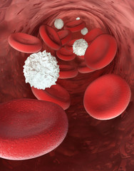 Erythrocyte Cells and Leukocytes Floating in Blood 3D rendering