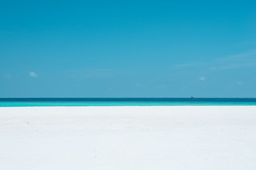 Fototapeta na wymiar Maldive Island. White sand tropical beach. Relaxed summer day.