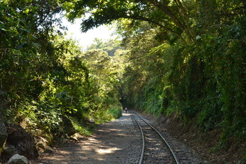 Caminho pelos Trilhos