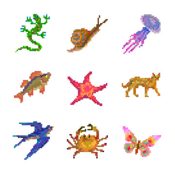 Pixel art picture with a lizard, a snail, a jellyfish, fish, a starfish, a hyena, a swallow, a crab and a butterfly