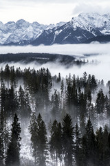 Tatry w zimie, krajobraz - 125606535