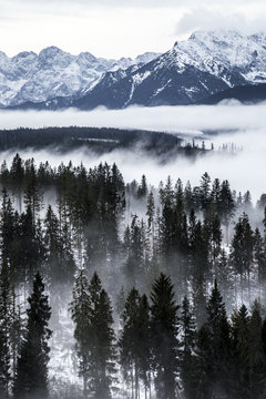 Tatra Mountains In Winter, Landscape