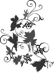 Vine