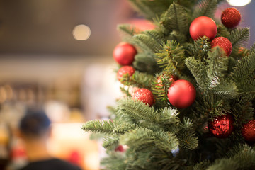Christmas tree background - Soft focus, Background