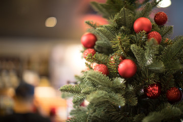 Fototapeta na wymiar Christmas tree background - Soft focus, Background