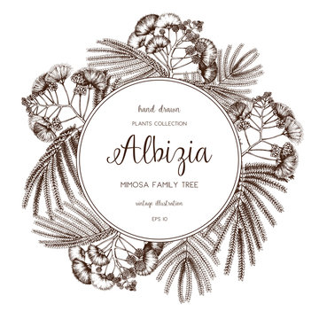 Vector frame with hand drawn Silk tree in flowers. Vintage card or invitation design with Albizia sketch for wedding decoration. Save the Date.