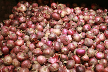Pile of Red Onions