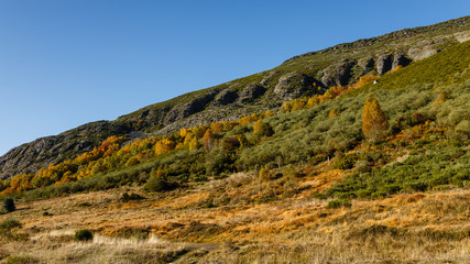 Autumn scenery in the port of Leitariegos in Spain