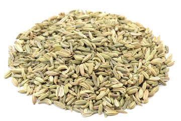 Fenouil graine semence