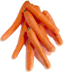 carottes