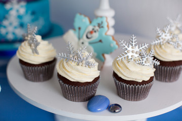 cupcake decorated winters accessories