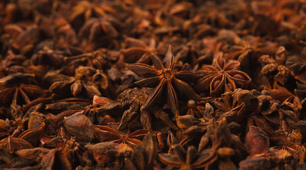 Background texture of star anise fruits and seeds
