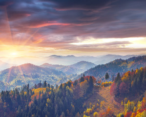 Colorful autumn morning in the Carpathians.