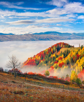 Foggy morning scene in the mountain village Babyn