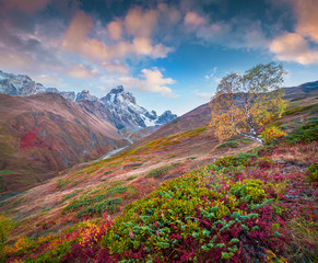Fototapeta na wymiar Colorful autumn morning with Mt. Ushba.