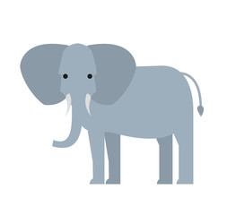 cartoon elephant in flat style isolated on white background