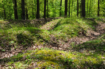 Fototapeta premium Richmond National Battlefield Park