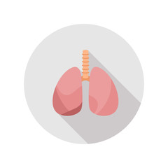 Human's Healthy Lungs . Icon with long shadows in modern flat design.