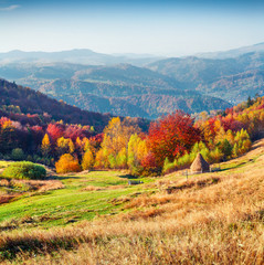 Fototapeta na wymiar Colorful autumn morning in Carpathian mountains.