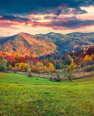 Colorful autumn landscape in the Carpathian mountains.