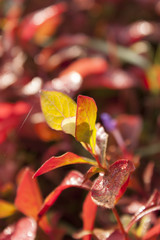 Postdamer platz, ingresso metropolitana a Berlino