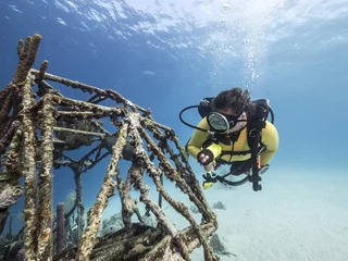 Dekokissen Unterwasser - Riff - Wrack - Flugzeugwrack - Schwamm - Taucher - Tauchen - Curacao - Karibik © NaturePicsFilms