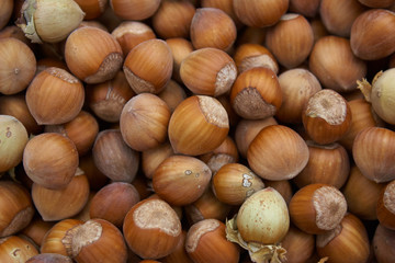 hazelnuts
