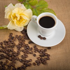  Fresh Coffee , beans, cap, and spoon in retro color tone with space for text