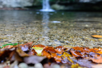 Fototapeta premium Wasserfall in der Natur im Wald